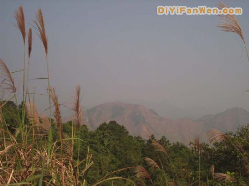 王崗山圖片