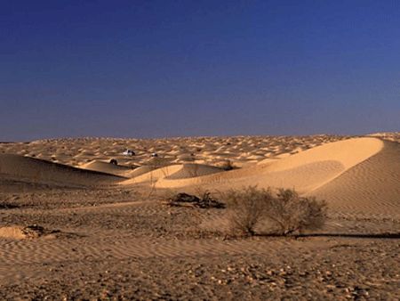 撒哈拉沙漠圖片