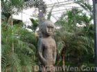 天津熱帶植物觀光園