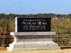 大汶口遺址