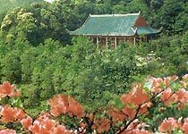 藏經殿圖片