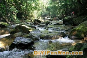 鼎湖山圖片