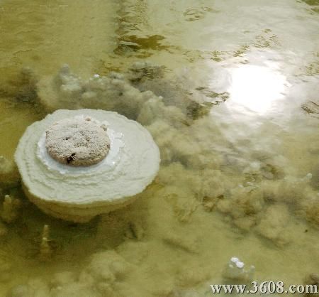 察爾汗鹽湖圖片