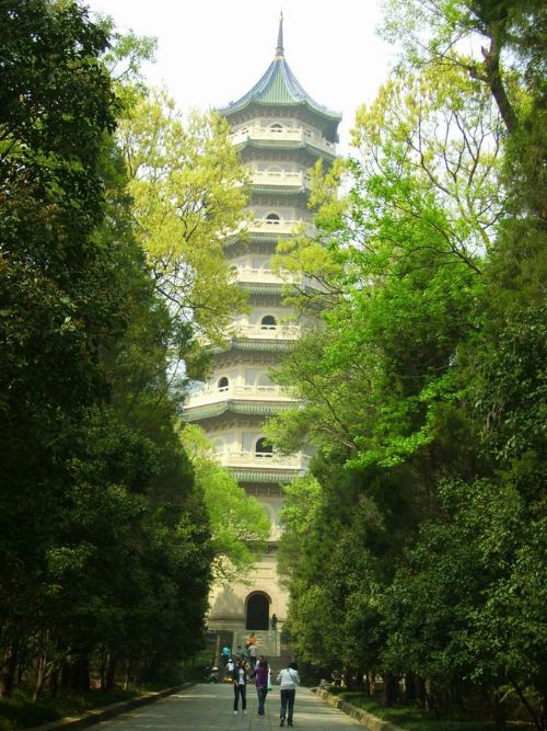 鐘山景區圖片