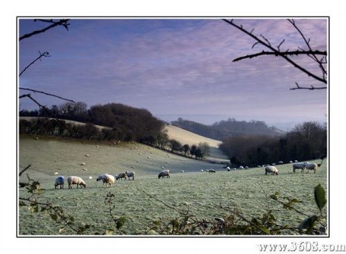 英國鄉村風光圖片