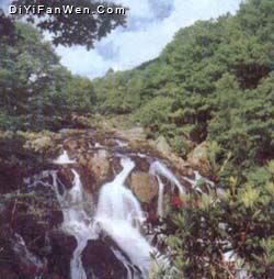 上窯森林公園圖片