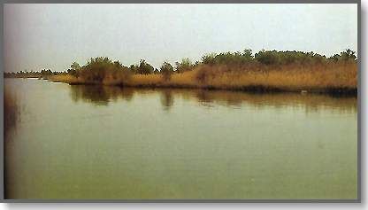新疆烏倫湖圖片