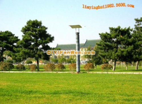 廣西南湖公園圖片