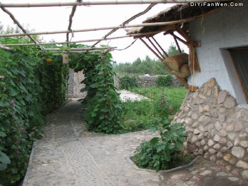 賀蘭山麓圖片