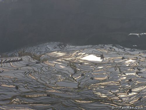 雲南元陽梯田圖片