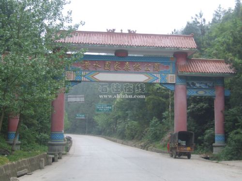 石柱黃水森林公園圖圖片