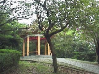 虎頭山公園圖片