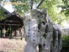 紹興沈園