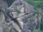 倒回溝