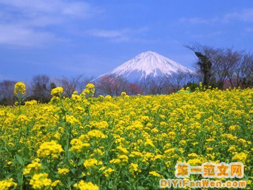 富士山風光圖片