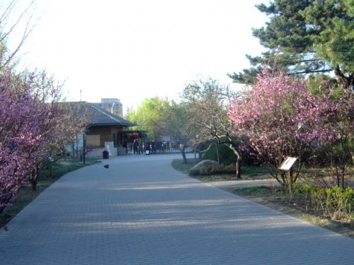 北京植物園圖片