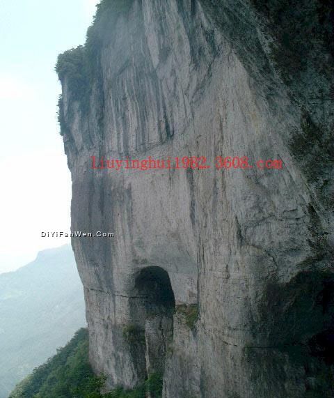 金佛山圖片