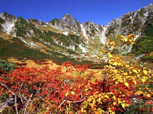 石河子風景圖圖片