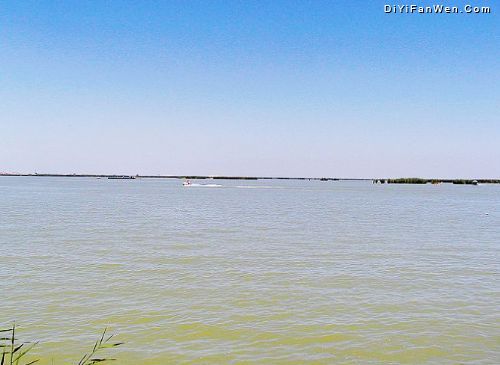 寧夏沙湖圖片