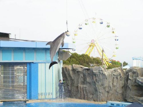 香港海洋公園圖片