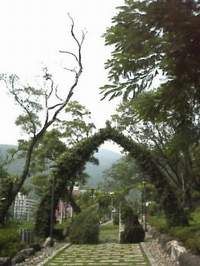 礁溪公園圖片