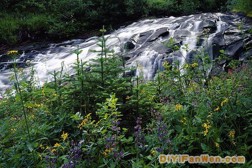 美國雷尼爾山國家公園圖片