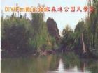 紅山國家森林公園