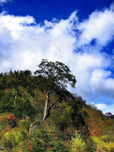 二郎山圖片