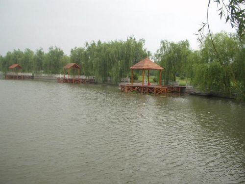 溱湖國家濕地公園圖片