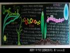 漂亮的節約主題黑板報