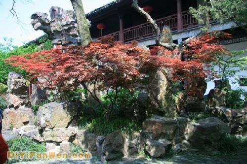 揚州個園圖片