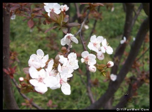 上海長風公園圖片