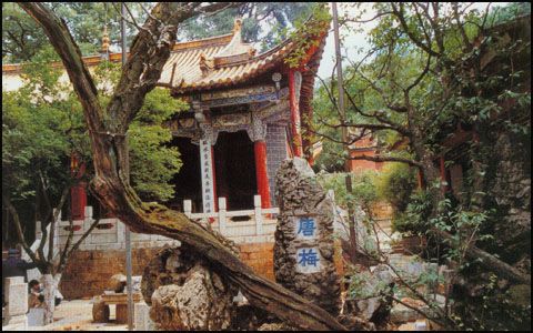 昆明黑龍潭圖片