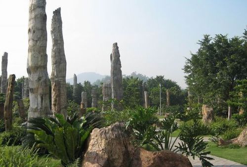 廣東仙湖植物園圖片