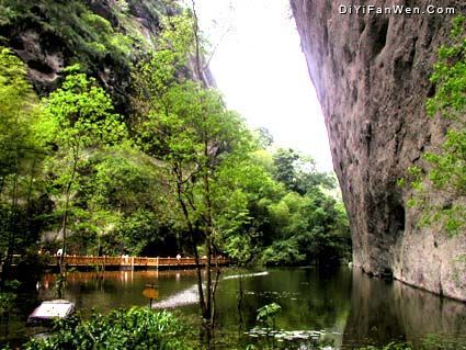 三明格氏栲國家森林公園圖片