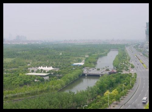 上海世紀公園圖片