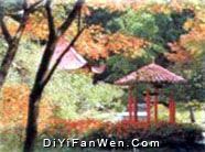 花徑公園圖片
