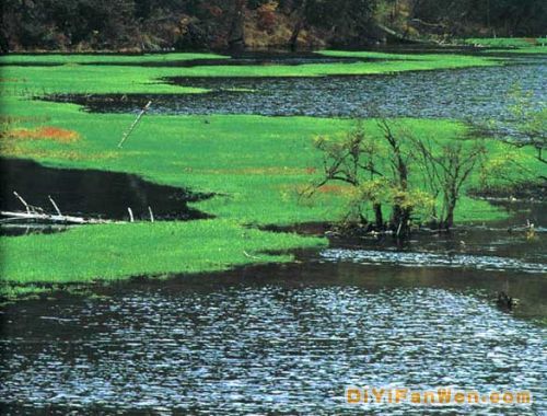 四川九寨溝圖片
