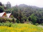 雞公山16