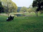 共青森林公園
