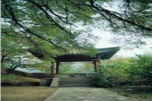 北京法海寺圖片