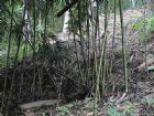 三江侗鄉