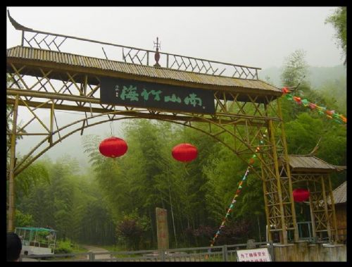 江蘇南山竹海圖片