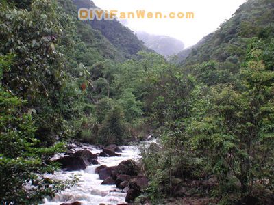 姑婆山國家森林公園圖片