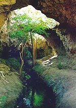 坎兒井圖片