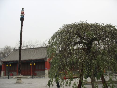 我眼中的北京之白塔寺圖片