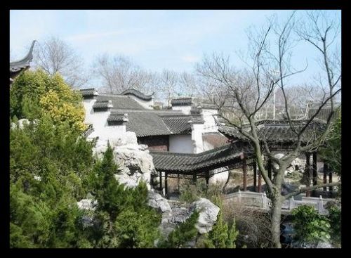 江蘇盆景園圖片