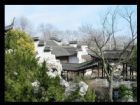 江蘇盆景園