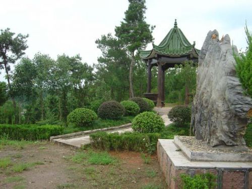 屯溪植物大觀園圖片