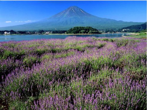 夢幻富士山美景圖片